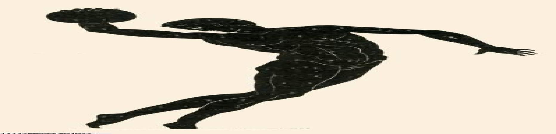 旭彩网运动数据分析工具